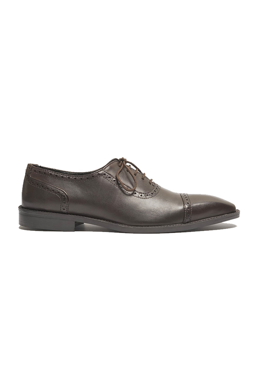 Brown Burnish Brogues
